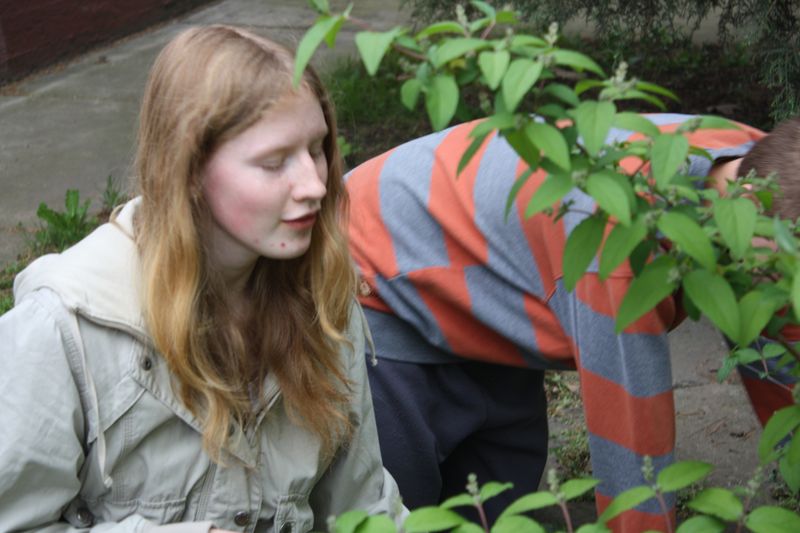 gal/A Fold Napja/IMG_7117.jpg